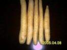 Wild Yam Extract